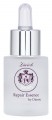 Zürich_Society_Repair_Essence